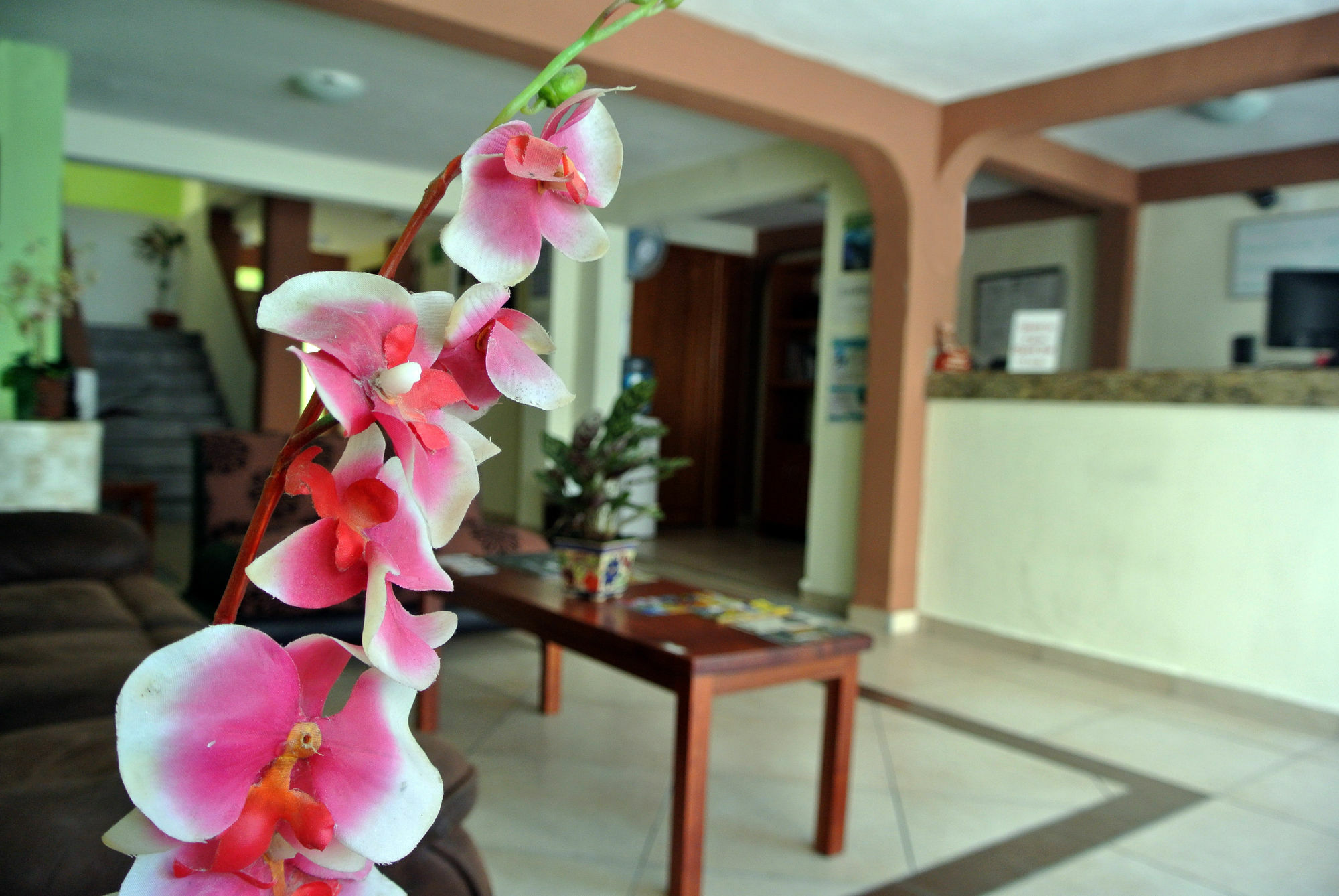 De Mar Hotel Playa del Carmen Ngoại thất bức ảnh